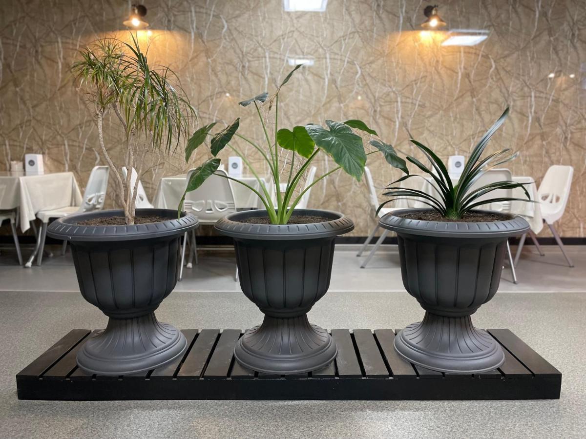 Central Hotel 기우므리 외부 사진
